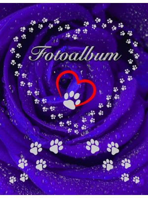 Zemira Independently Published Fotoalbum Für Hunde Katzen Haustiere Geschenkidee Hundeliebhaber Katzenlieb