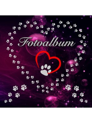 Zemira Independently Published Fotoalbum Für Hunde Katzen Haustiere Geschenkidee Hundeliebhaber Katzenlieb