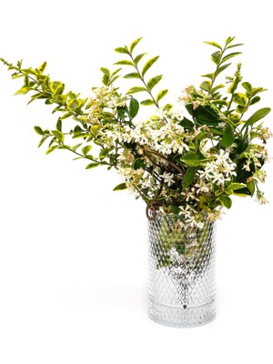 Zemira Mi̇ssi̇ Diamond Cam Vazo/mumluk (17 Cm)