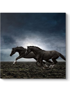 Zemira Tabloshop Koşan Siyah Atlar 40 x 40