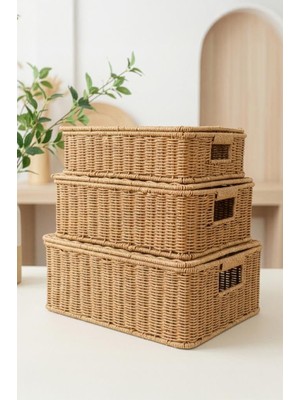 Zemira Digithome 3'lü Kapaklı Hasır Rattan Organizer Sepet - BB6065