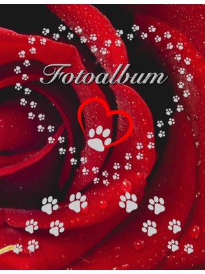 Zemira Independently Published Fotoalbum Für Hunde Katzen Haustiere Geschenkidee Hundeliebhaber Katzenlieb