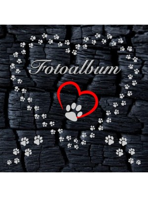 Zemira Independently Published Fotoalbum Für Hunde Katzen Haustiere Geschenkidee Hundeliebhaber Katzenlieb