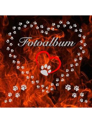 Zemira Independently Published Fotoalbum Für Hunde Katzen Haustiere Geschenkidee Hundeliebhaber Katzenlieb