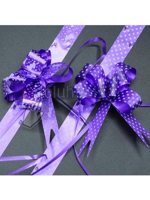 Zemira Paket Süsü Pratik Fiyonk 10'lu 35 cm Lila