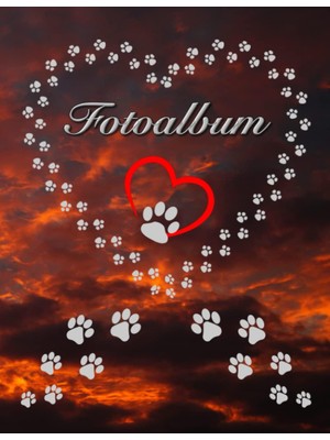 Zemira Independently Published Fotoalbum Für Hunde Katzen Haustiere Geschenkidee Hundeliebhaber Katzenlieb