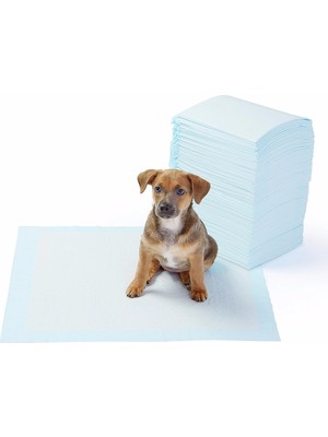 Hereveoyuncak Yıkanabilir Köpek Çişş Pedi - 100 x 100 cm