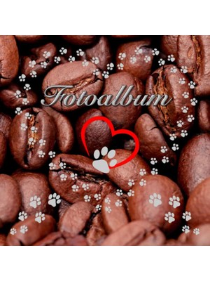 Zemira Independently Published Fotoalbum Für Hunde Katzen Haustiere Geschenkidee Hundeliebhaber Katzenlieb