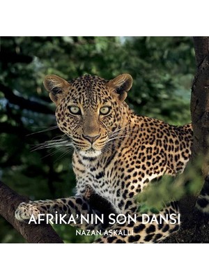 Afrika’nın Son Dansı (Ciltli)