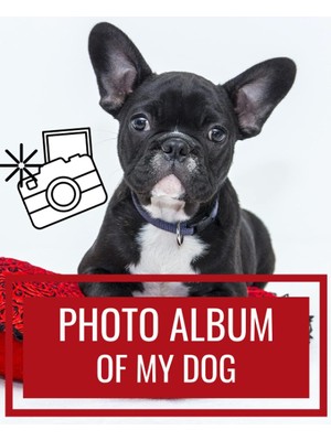 Zemira Photo Album Of My Dog: Best Memories With My Dog - Customize Your Album, Add Pictures And Notes - G