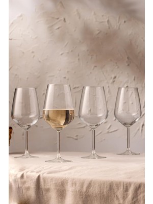 Zemira Rakle Avantgarde Kadeh - Şeffaf Kristal Cam - 4 Parça 490CC Kapasiteli - Bulaşık Mak