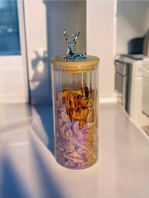 Zemira Yenigeldi (9X20 Cm) 1 Adet Gökkuşağı Geyikli Cam Saklama Kavanozu Geyik Başı Gümüş Renk Hava Geçirm