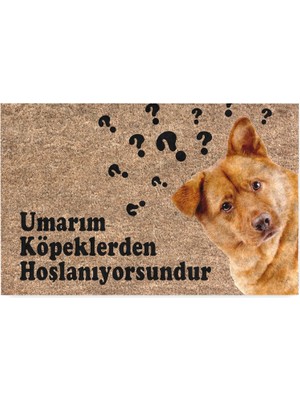 Zemira Monnhein Komik Tasarımlı Dekoratif Kapı Önü Paspas, Dış Mekan/ev Içi/banyo/mutfak/yatak
