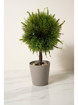 Zemira Top Formlu Yapay Çam Bonsai, Taş Dolgulu Gri Saksıda Mini Ağaç, Çalışma Masası Raf Dekora