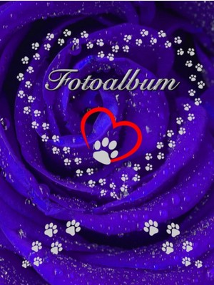 Zemira Independently Published Fotoalbum Für Hunde Katzen Haustiere Geschenkidee Hundeliebhaber Katzenlieb