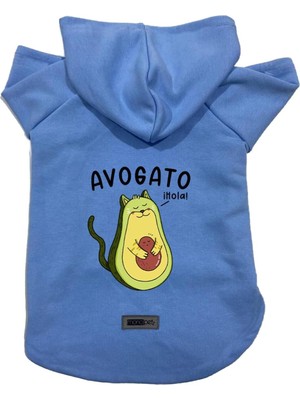 Zemira Kapişonlu Sweatshirt Kıyafeti & Elbisesi Avogato Xs