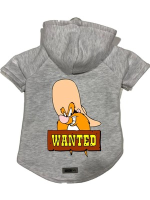 Zemira Kapişonlu Sweatshirt Kıyafeti & Elbisesi Gri J Sam Xs