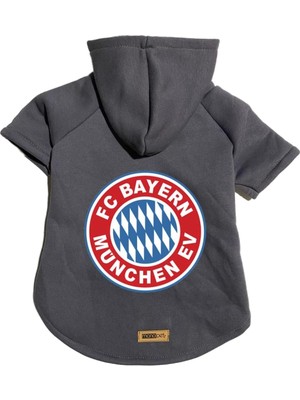 Zemira Kapişonlu Sweatshirt Kıyafeti & Elbisesi - Antrasit Bayern München L Beden