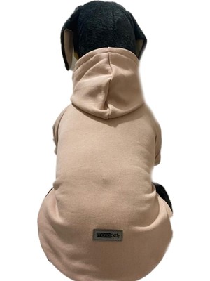 Zemira Kapişonlu Sweatshirt Kıyafeti - Düz Pudra Xl Beden