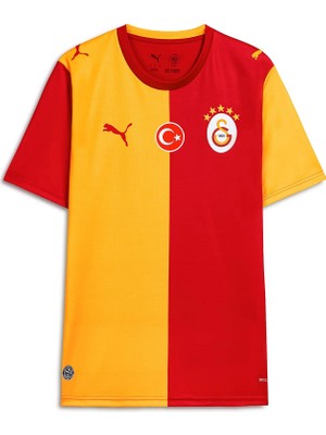 Puma Galatasaray 26/27 Iç Saha Erkek Forma