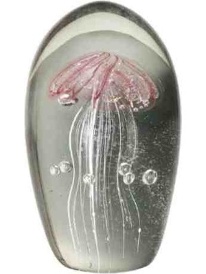 Porland Deniz Anası Mor Biblo 9X16CM