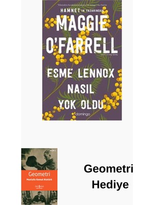 Domingo Yayınevi Esme Lennox Nasıl Yok Oldu + Geometri Hediye