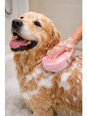 Mianna Şampuan Hazneli Silikon Kedi ve Köpek Banyo Fırçası Masaj Kesesi Evcil Hayvan Duş Tarağı Pembe