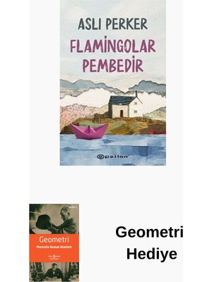 Epsilon Yayınevi Flamingolar Pembedir + Geometri Hediye
