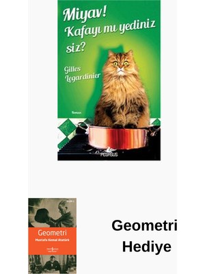 Pegasus Miyav! Kafayı Mı Yediniz Siz? + Geometri Hediye