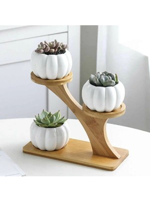 Grimsi 3'lü Kabak Sukulent Saksı Set(Çiçek ve Stand Dahil Değildir
