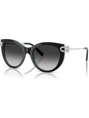 Tf 4232 80553C 53 Tiffany & Co. Güneş Gözlüğü