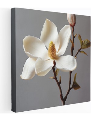 Popcas Güzellik Magnolia Gerçekçi Fotoğraf Kanvas Tablo