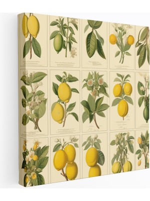 Popcas Nostaljik Limon Ağacı Limon Ağacı Motifli Dekoratif Kanvas Tablo
