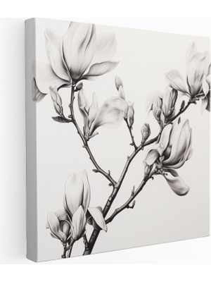 Popcas Magnolia Temalı Kömürle Çizilmiş Detaylı Gölgeleme Kanvas Tablo