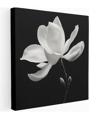 Popcas Sade Manolya Şeffaf Sanat ile Minimalist Kompozisyon Manolya Kanvas Duvar Tablosu