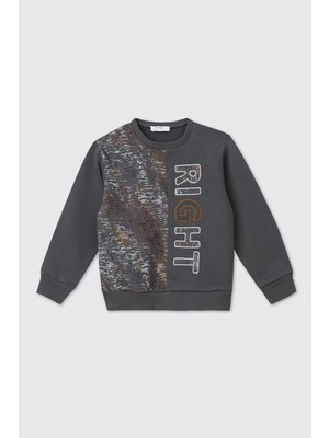 Panço Erkek Bebek Antrasit Sweatshirt
