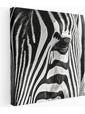 Popcasso Zebra Modern Sanat Zebra Temalı Görsel Duvar Tablosu