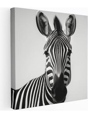 Popcasso Zebra Temalı Minimalist Siyah Beyaz Tasarım Dekoratif Kanvas Tablo
