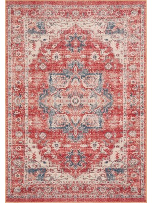 Eko Halı Elısta Vıntage  Vintage Tasarımlı Yumuşak Bukle Dokuma Kaymaz Tabanlı Yıkanabilir Modern Halı
