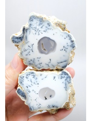 Healcrystal Dendritik Rüyalar: Bölünmüş Opal - Merlinit, 185G