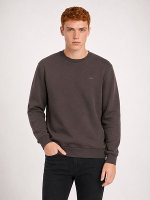 Loft Regular Fit Erkek Sweatshirt