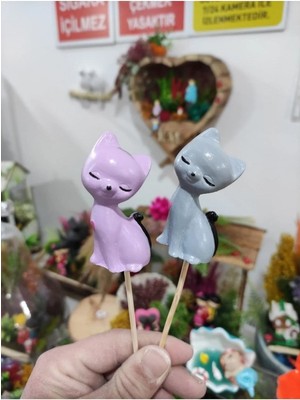 Himi Pasta Süsleri 2'li Kedi Maket Kürdanlı Cupcake Pasta Süsü Doğum Günü Süsleri Kürdan Süsü