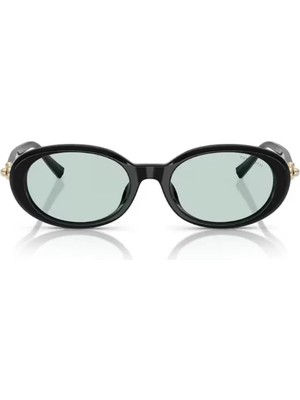 Tiffany&Co. Tıffany & Co Kadın Güneş Gözlüğü 0TF4242D 8001D9 54 Mavi Cam Renkli UV Koruma Özellikli