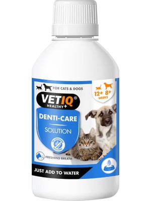 Delixa Vetiq Denti Care Diş Bakım Solusyonu 250 ml