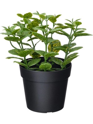 IKEA Fejka Yeşil 9 cm Yapay Bitki