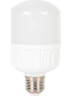 Erkled 20W Torch LED Ampul 6500K