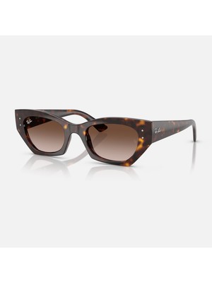 Ray-Ban Güneş Gözlüğü RB4430 49 135913