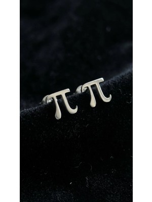 Nalia Takı Pi Sayılı Gümüş Küpe