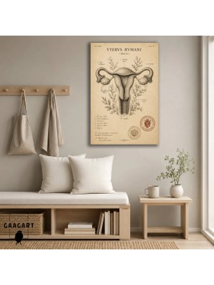 Gaagart Tekli Dikey Kanvas Tablo Vintage Kadın Üreme Sistemi Anatomi Çizimi Medikal Duvar Dekoru
