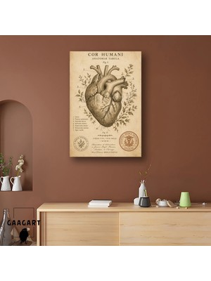Gaagart Tekli Dikey Kanvas Tablo Vintage Insan Kalbi Anatomisi Bilimsel Poster